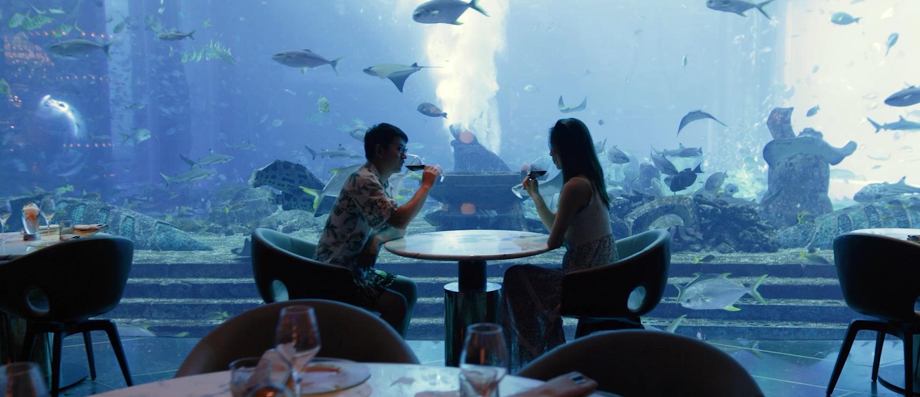 旅行结婚是怎样的流程,旅行结婚具体流程和方法