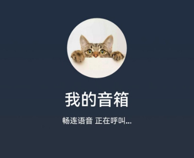 新款huaweisoundx双音箱评测,huaweisoundxnew智能音箱评测