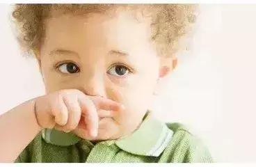 九个月宝宝吃的手抓饼,十个月宝宝辅食手抓饼