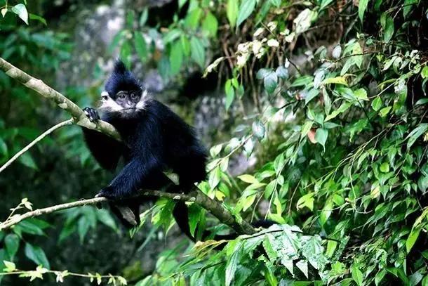 六盘水宜居城市,六盘水被评为最佳宜居城市