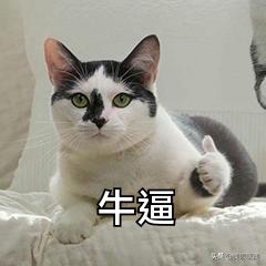 m22光子嫩肤祛红印效果图,m22光子嫩肤全模式和单模式区别