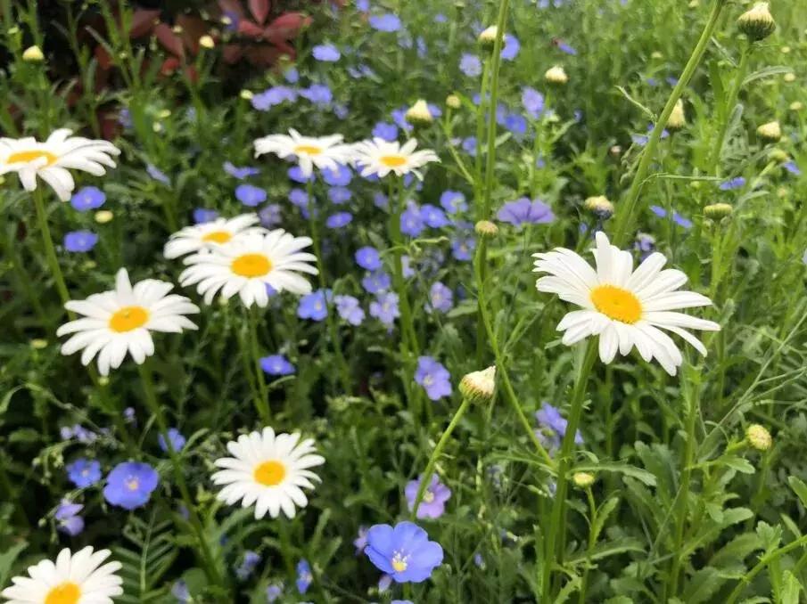 泰州溱湖来自1800米湿地深处云海温泉人文湖景别墅，独享惬意时光