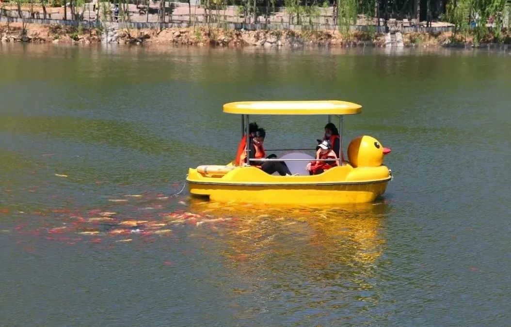 济南适合遛娃的免费去处,济南冬季遛娃免费攻略