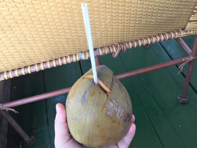 越南的美食美景,越南的美食和美景