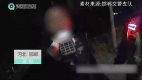 古稀老年人画,叶脉造型画