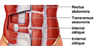 切莫人云亦云什么意思,切莫人云亦云随波逐流