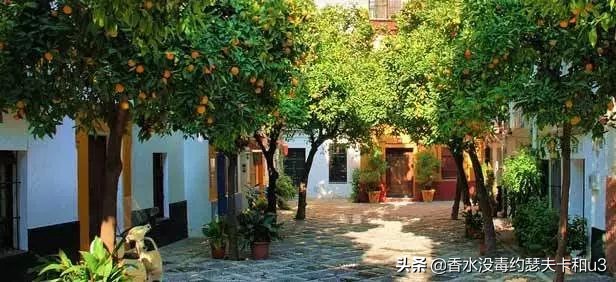 香奈儿米希亚香水好闻吗,香奈儿coco小姐香水浓香测评