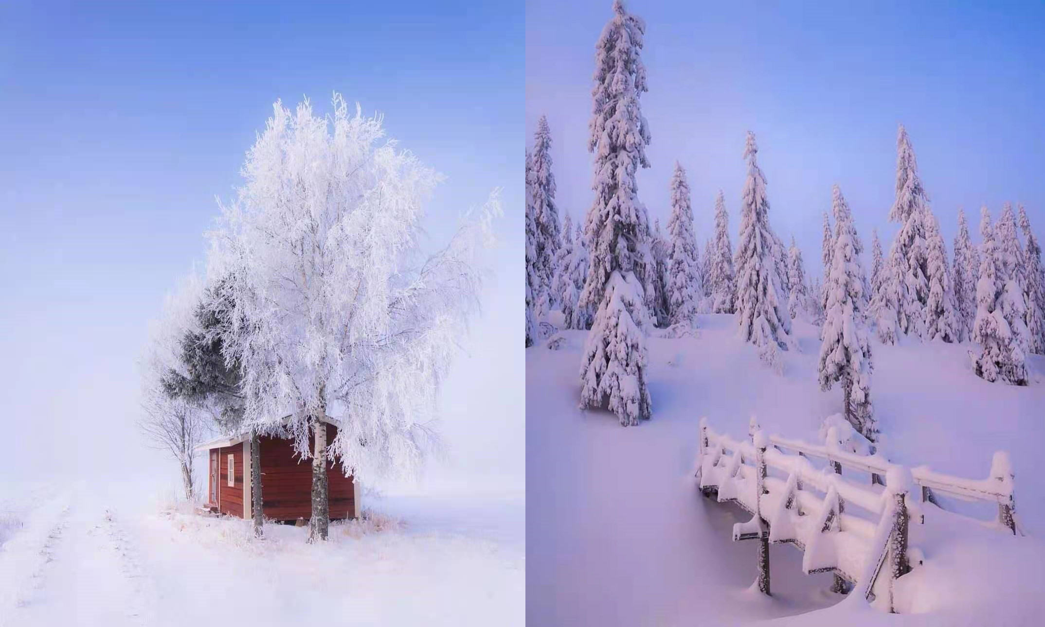 天冷了怎么穿衣搭配,穿搭建议冬天穿什么好看