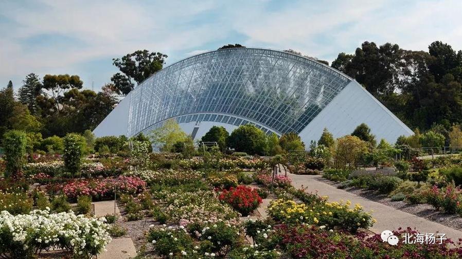 中国气候宜居城市2021,2021亚洲最宜居城市