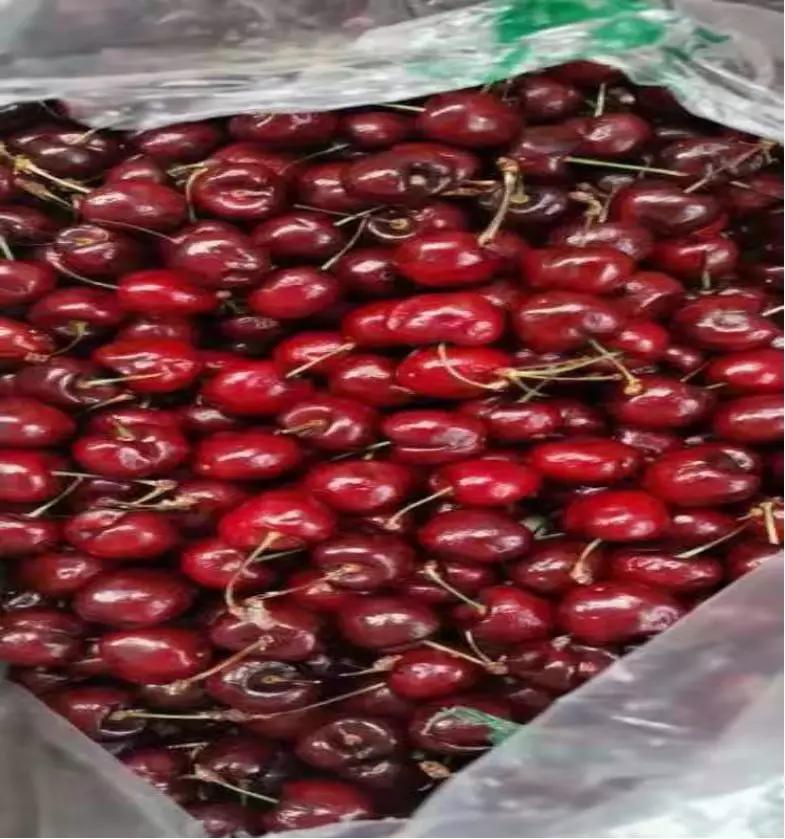 年货节福利来了快来给宝宝囤口粮,鄂尔多斯年货盛宴