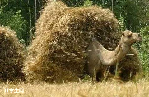 智邦培训机构靠谱吗,it培训机构靠谱吗