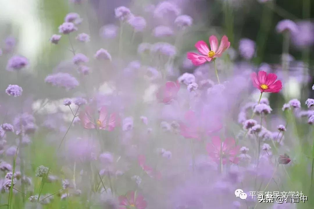 晋中婚宴,晋中旅行图文日记