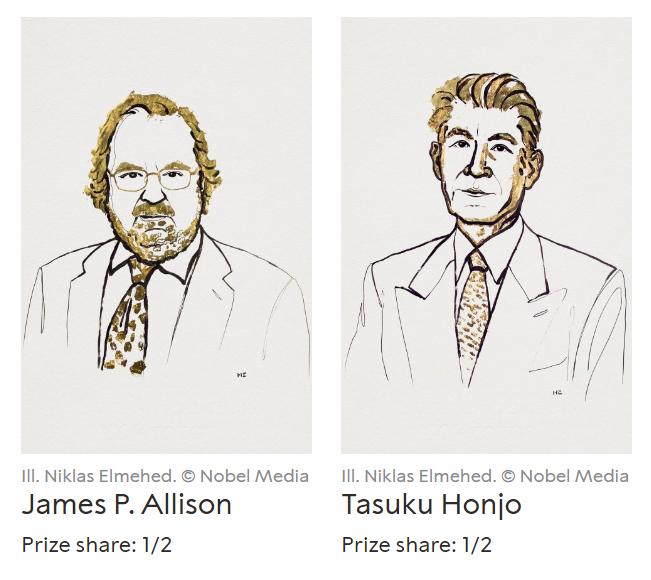 肝癌从很小长大需要几个月时间,微小肝癌彻底治愈的概率