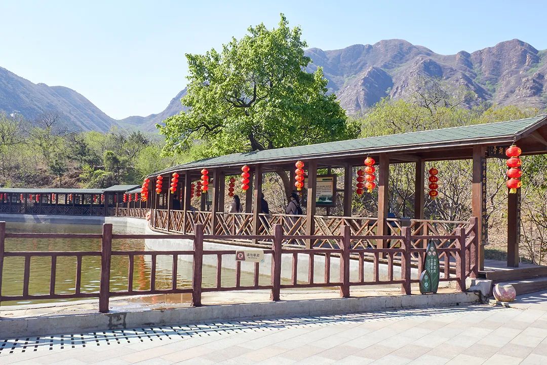 鲁山水上乐园闯关比赛,山叶口玩水