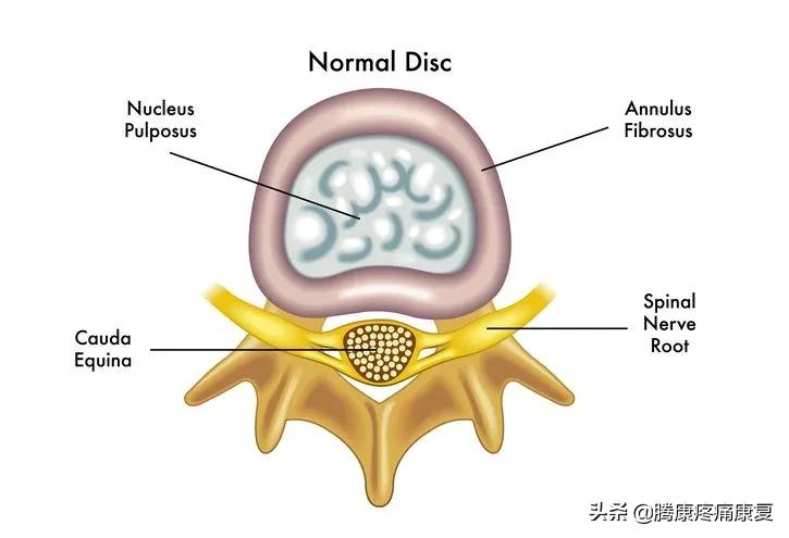 腰椎间盘突出的12组锻炼动作,腰椎间盘4-5节突出压迫神经怎么办