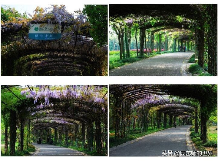 园艺研学报告,园艺园林研学