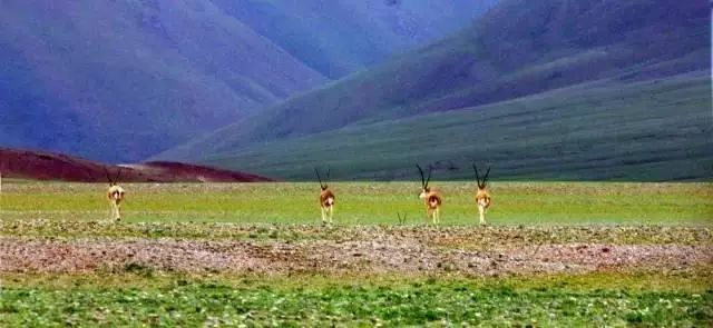 下半年旅行最佳时间表,2023最佳旅游时间表