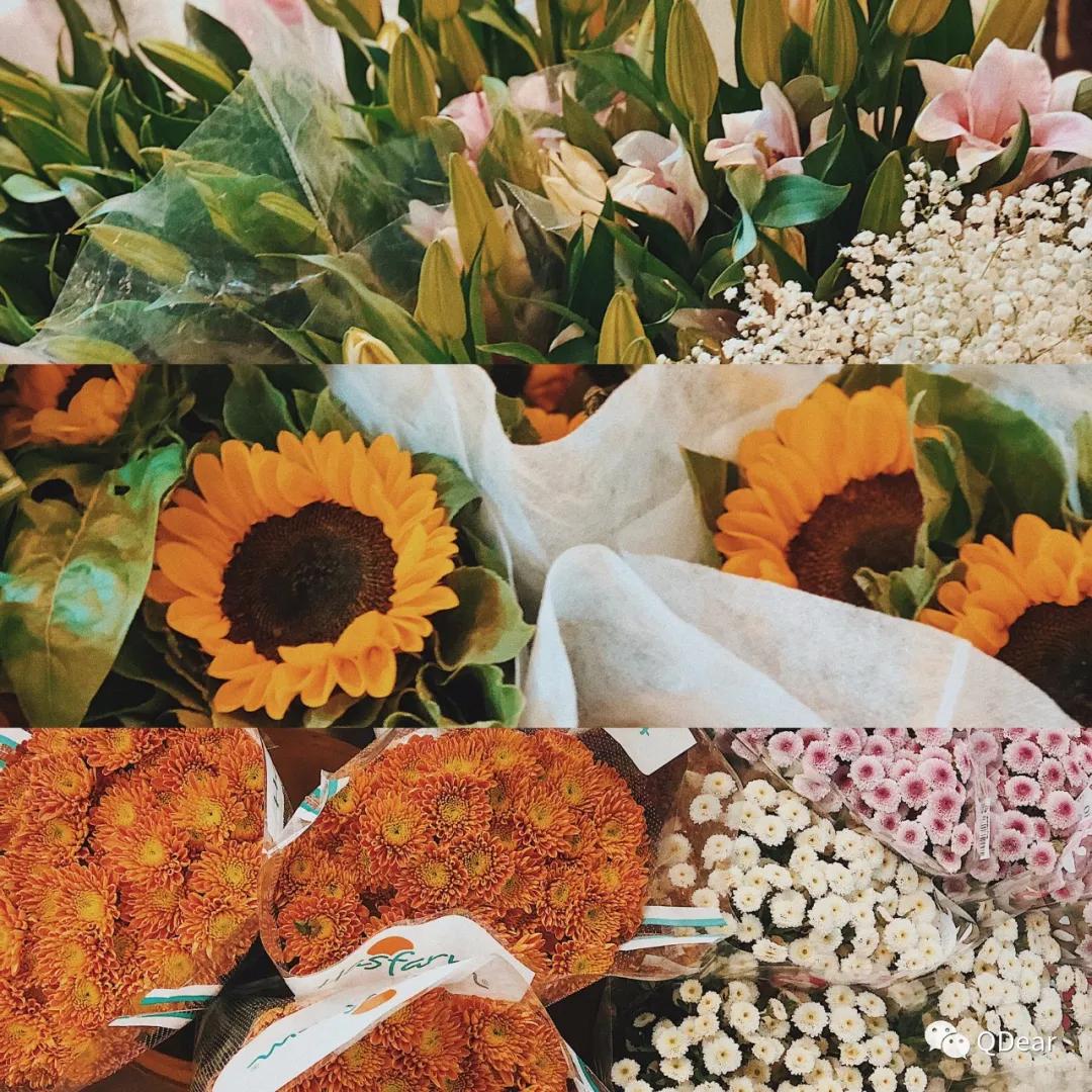 青岛景点春节免费开放通知,青岛六十岁老人去哪些景点免费