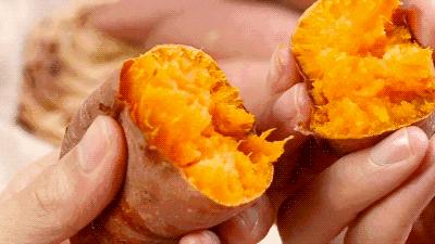 正宗兰考红薯价格,红薯大面积出售