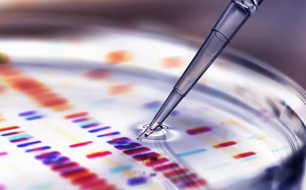 肿瘤免疫疗法之nk细胞治疗靠谱吗,cart疗法都能治疗什么癌