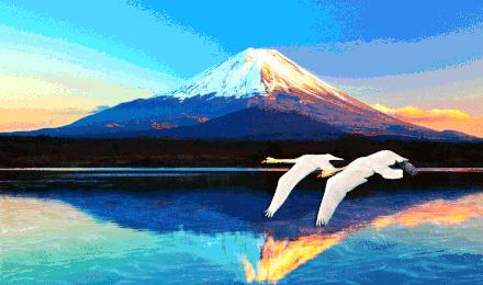 十大舔狗歌曲,舔狗的歌曲