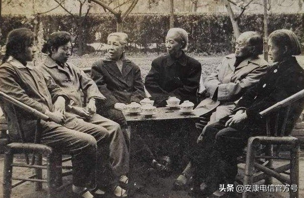 安康紫阳富硒毛尖,紫阳毛尖特别香