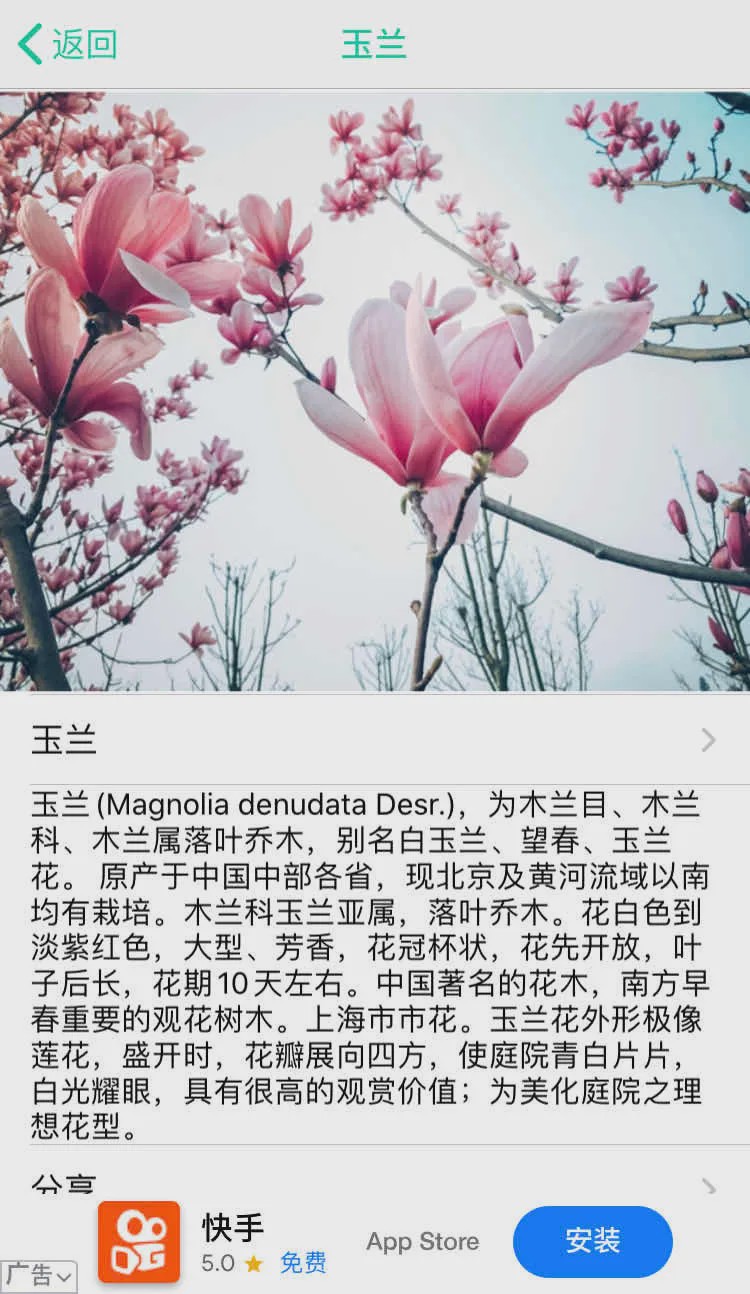 哪个识花软件最好用,识花app免费的哪个好