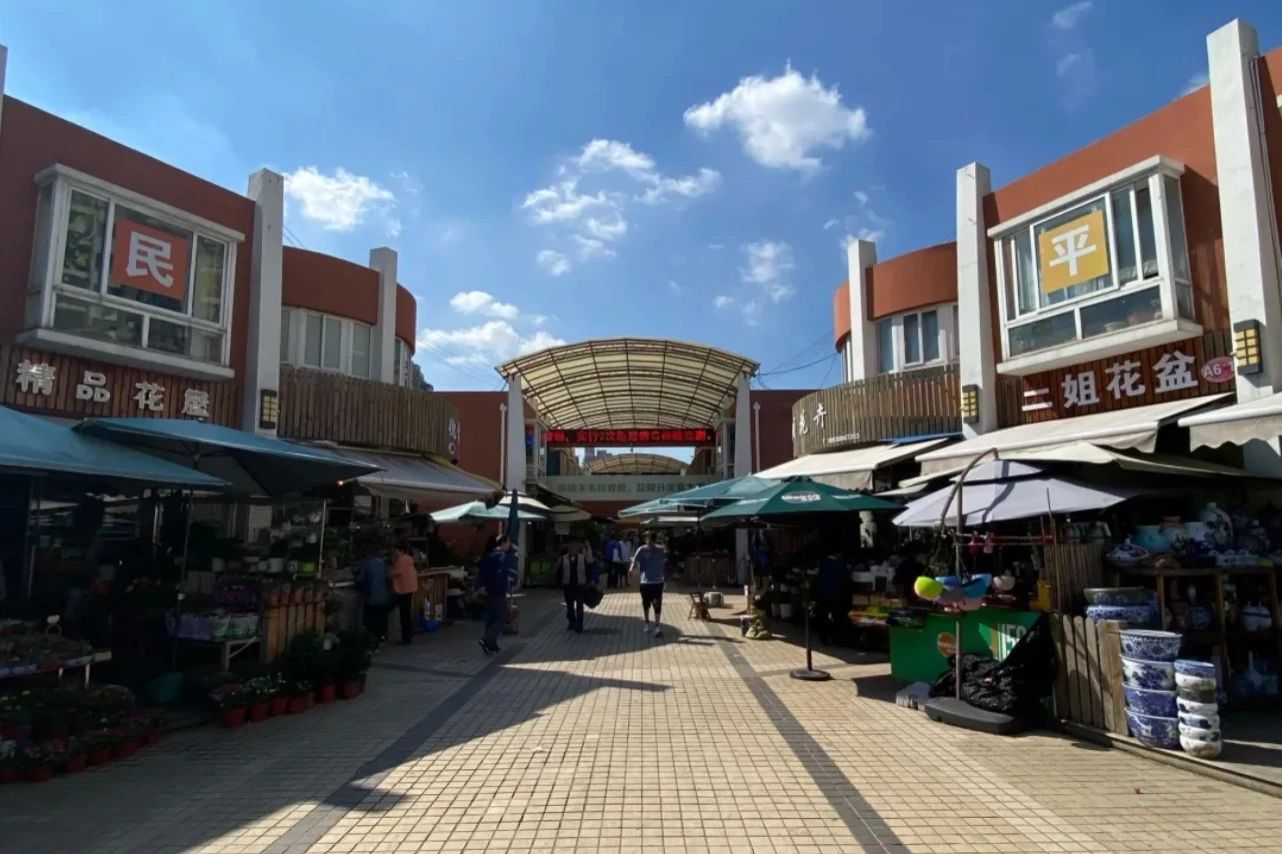 上海的热搜,最近热搜的上海