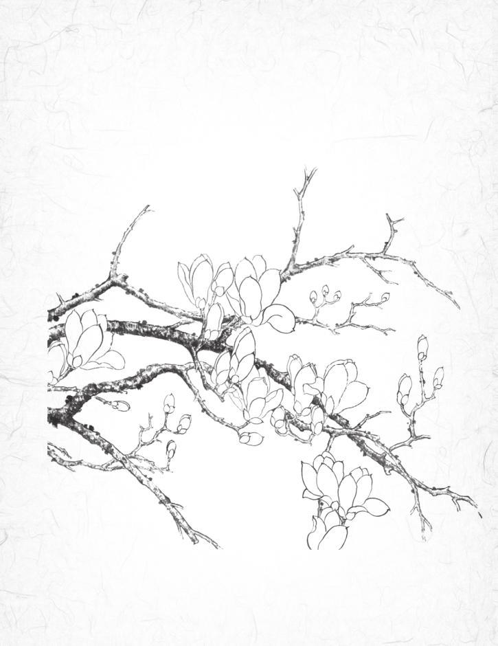 初学者怎么画花卉？11种花卉高清大图送给你，收藏起来临摹学习