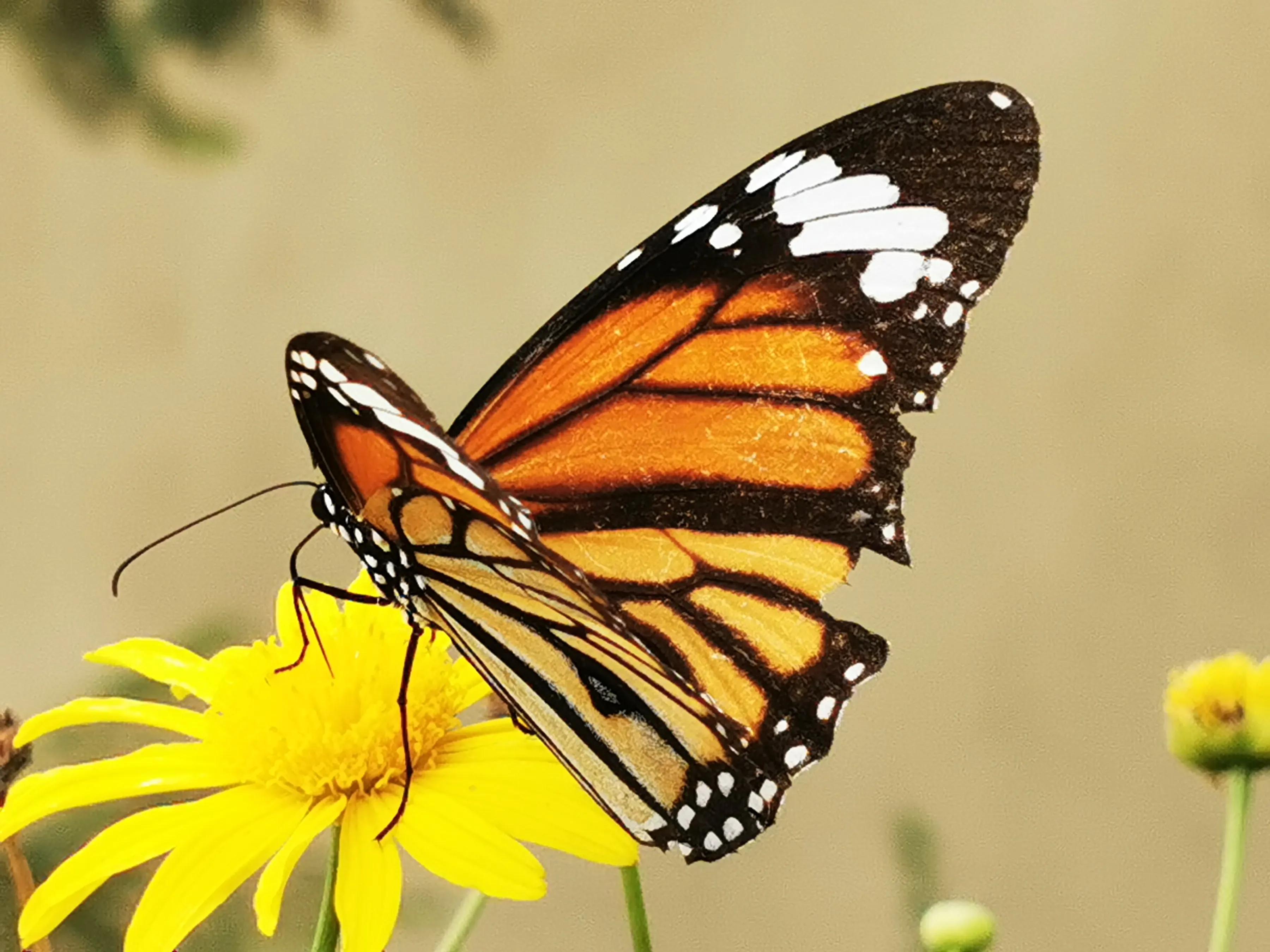 手拍世界手机摄影平台,手拍世界摄影交流平台