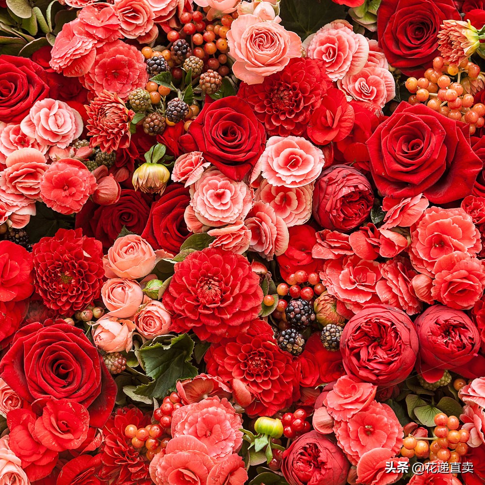 淘宝买鲜花靠谱吗,淘宝直播间卖云南鲜花便宜靠谱吗