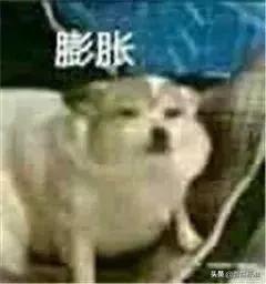 银行副业做什么最赚钱,银行人如何副业赚钱