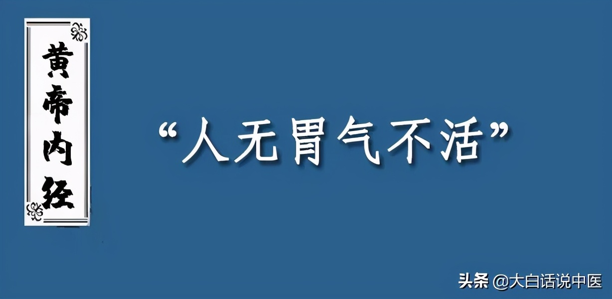 大白话说中医第七十九集,大白话说中医第十九期