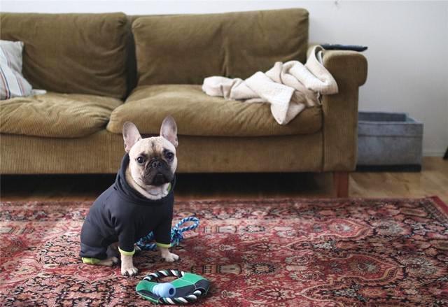 妙招！教你轻松掌握手工真丝地毯清理方法