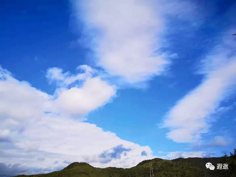 温州居然有这么美的小众景点,温州青龙山风景区在哪里