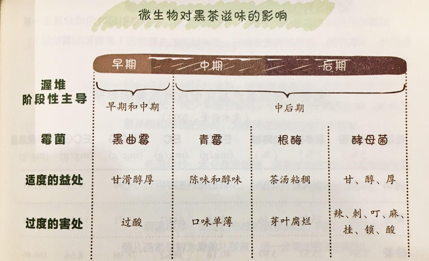 内生菌对茶叶有什么作用,霉菌都是坏的吗