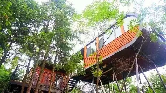 特色树屋民宿度假屋设计方案,很有创意的木屋