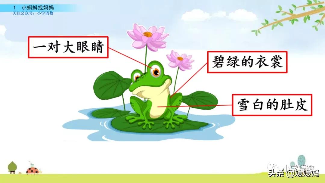 二年级上册小蝌蚪找妈妈听写词语,朗读二年级上册语文小蝌蚪找妈妈