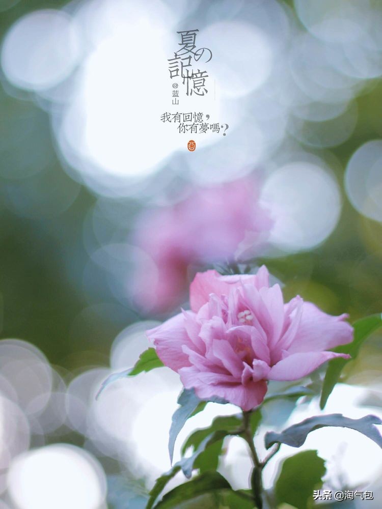 秋分一半热烈一半安详,秋分秋天分两半