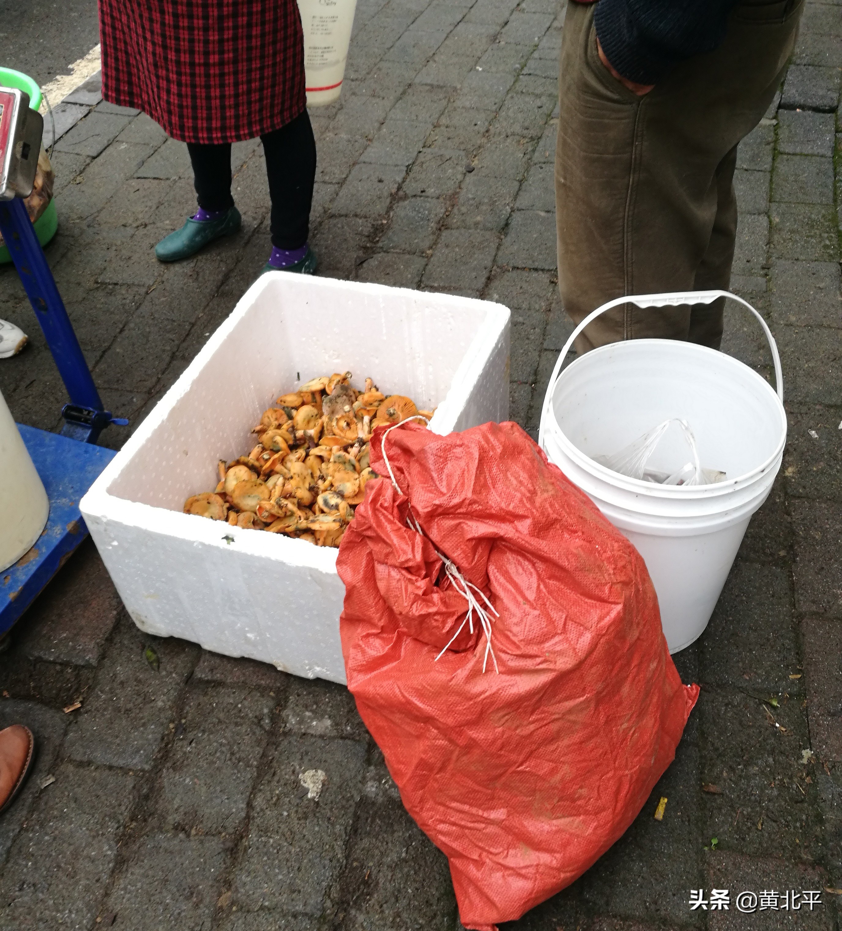 重庆市秀山县龙池镇白庄村,重庆市秀山县龙池镇享哆味