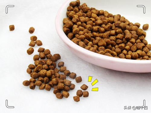 39天小猫软便,老是软便