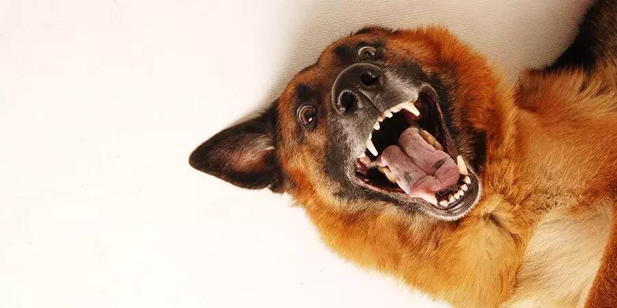 签证申请被拒影响去其他国家吗,申请签证拒签了再申请能通过吗