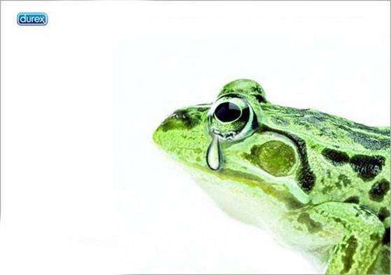 十二品牌安全套价格,安全套十大品牌