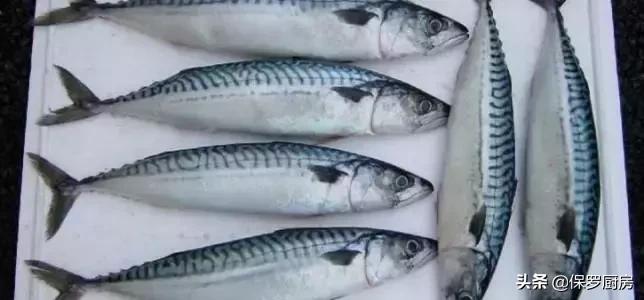 海鲜大荟萃,常见贝壳类海鲜