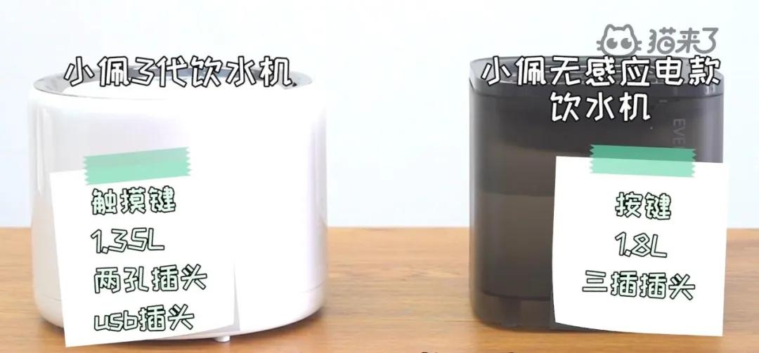 宠物饮水机“漏电”化身杨永信!你还敢让猫咪用它喝水吗?