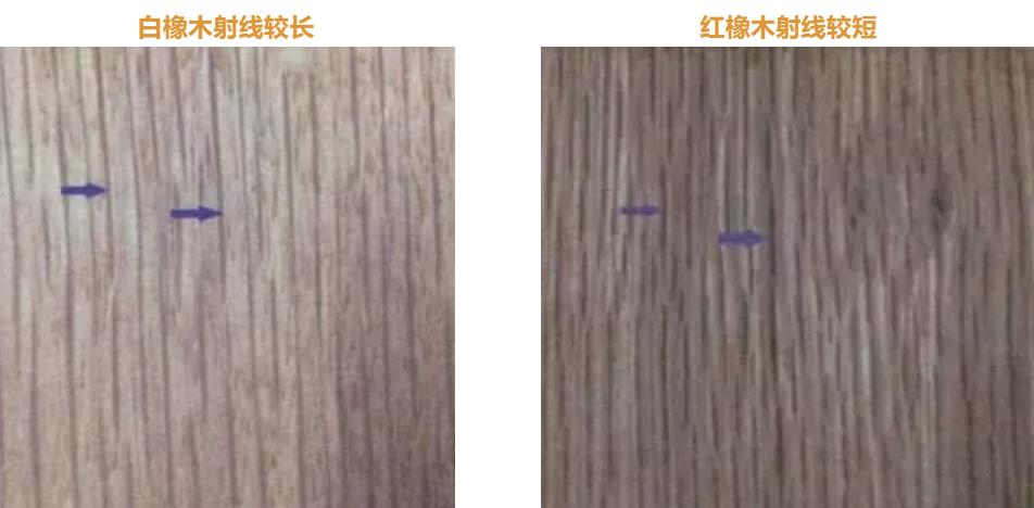 购买红橡实木家具,红橡和胡桃木床哪种好