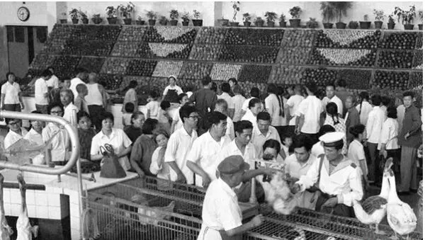 马鞍山九村小学老照片,马鞍山向山老照片