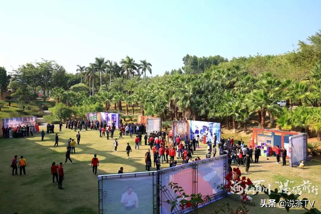 中茶海堤茗茶节,福建中茶海堤
