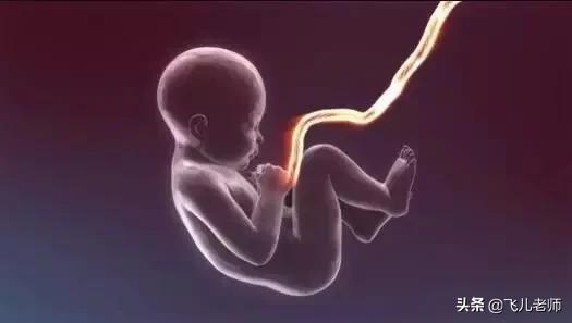 新生儿脐带发红怎么处理,新生儿脐带还没掉有臭味周围发红