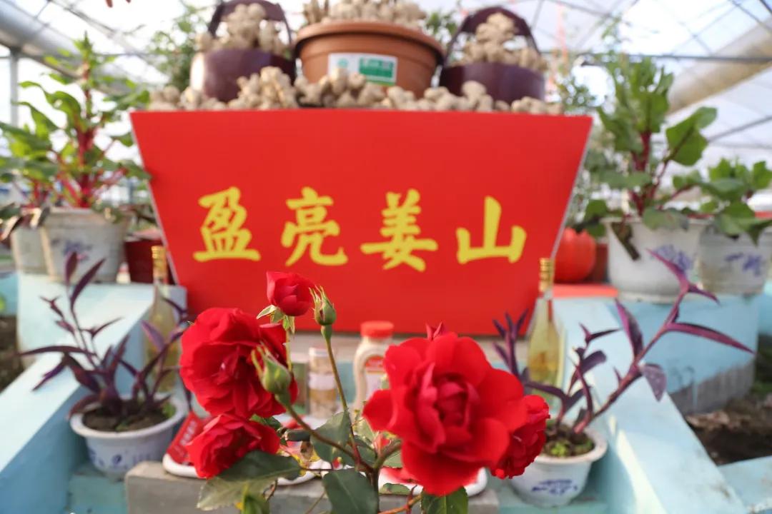 汉川5天周边游攻略,汉川徒步旅游攻略一日游